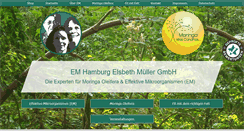 Desktop Screenshot of em-hamburg.de