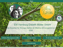 Tablet Screenshot of em-hamburg.de